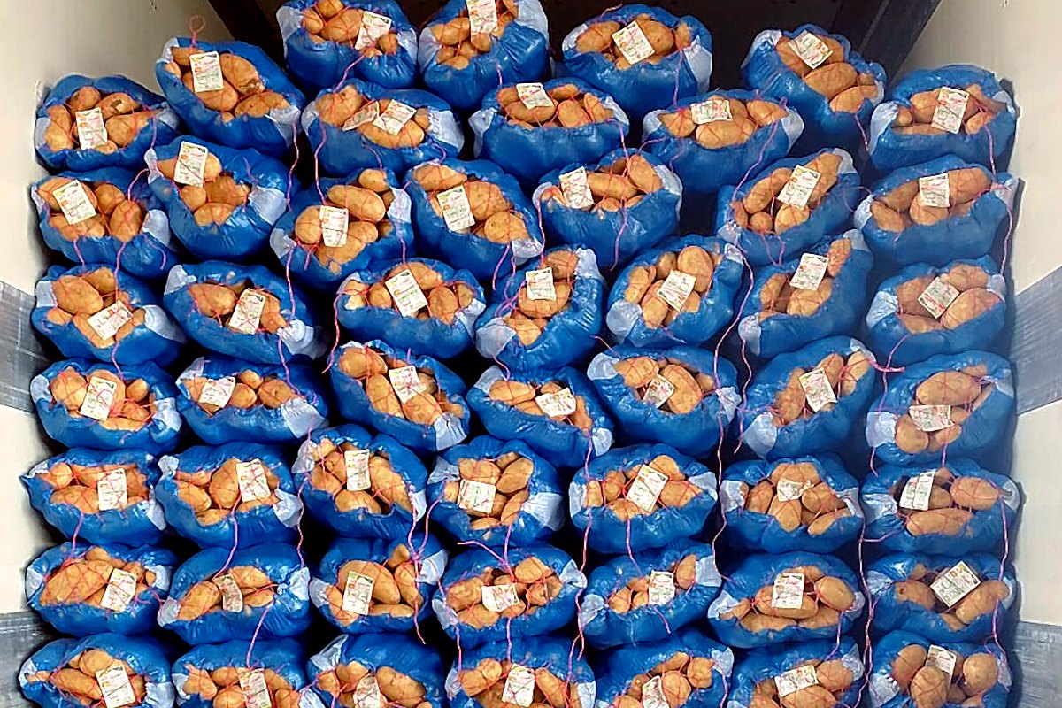 Loaded and ready to ship