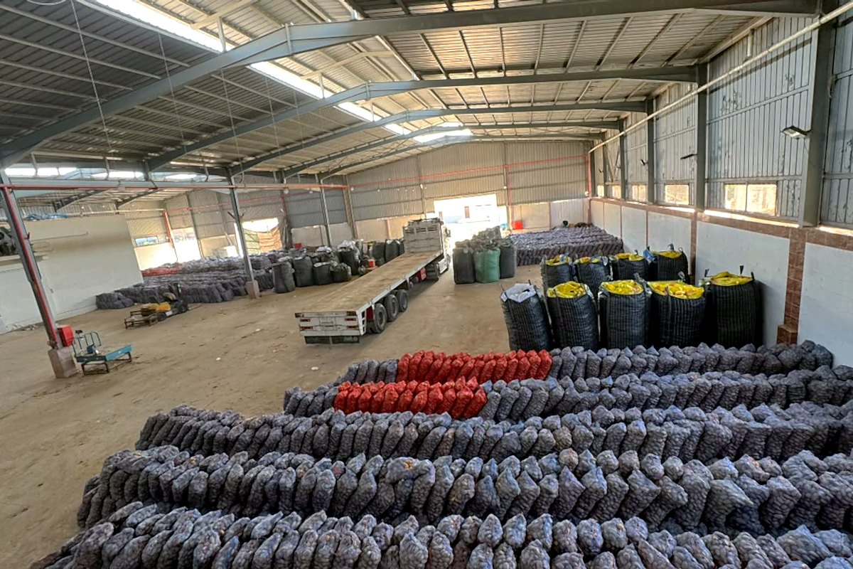 Sorting and loading hall