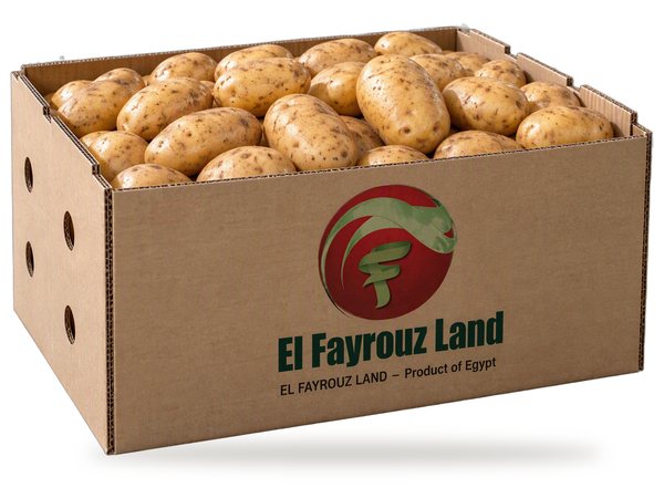 Potatoes in an El Fayrouz Land carton